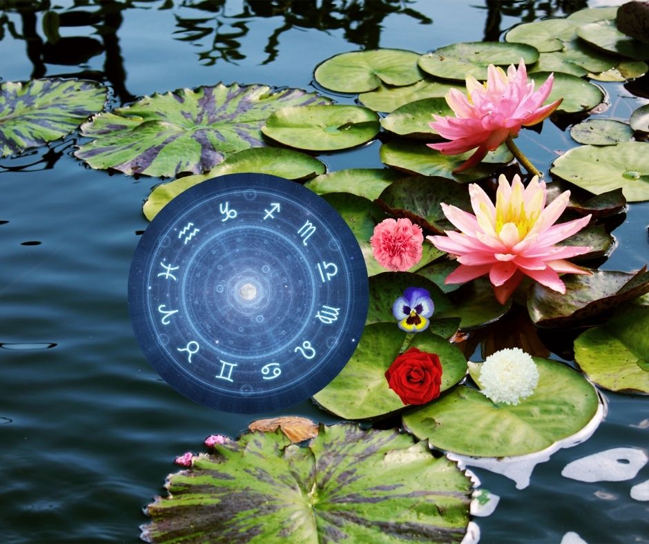 Your Zodiac Flowers Are Your Flower Magic!